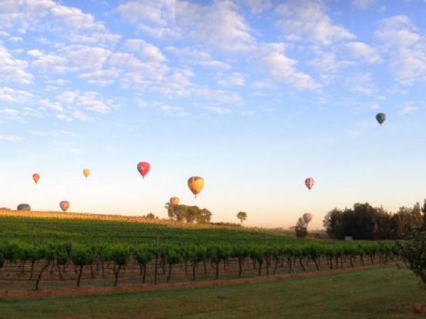 balloons over misty glen vineyard